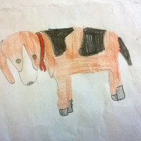 cagnolino 1B