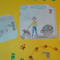 IMG_20170410_185634