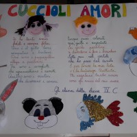 Cuccioli amori IV C