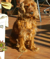 Screenshot_20170524-095305-169x300