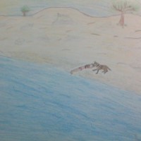 WIN_20180227_103313
