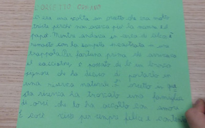 L’Orsetto Orfano- Il Gorilla-Il mio amico peloso-Quando ho incontrato Kira- La mia amica pelosa